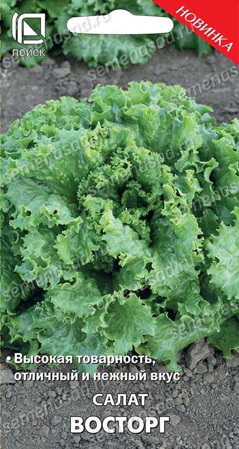 Семена Салат Восторг  1 гр Поиск 