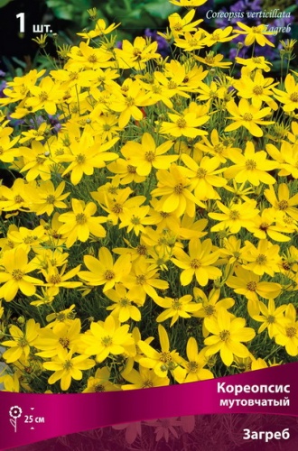 Корневище Кореопсис  мутовчатый Загреб 1 шт Поиск 