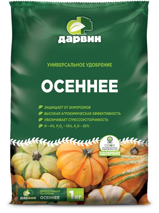 Основное изображение