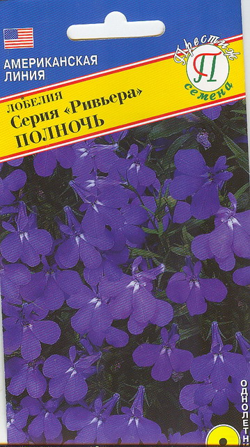 Семена лобелия куст Полночь 5 мдр Престиж 