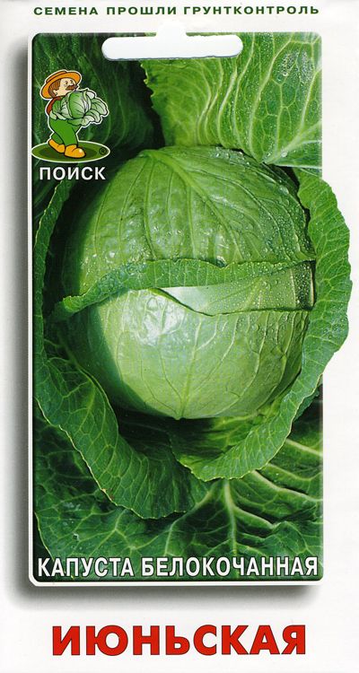 Семена Капуста белокочанная Июньская,0,5г Поиск 
