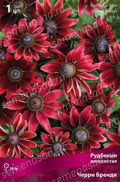 Семена Рудбекия Черри бренди 0,1 Поиск 