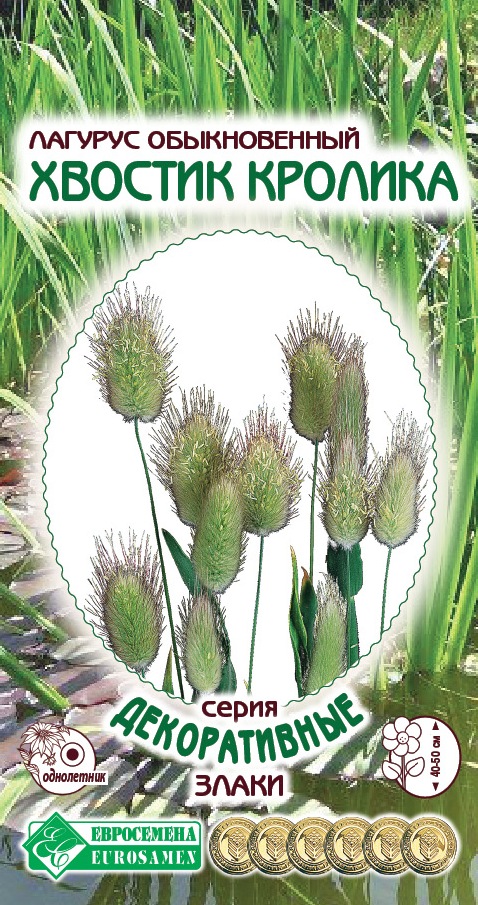 ОсновноеИзображение