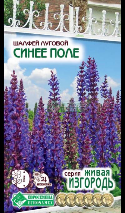 ОсновноеИзображение