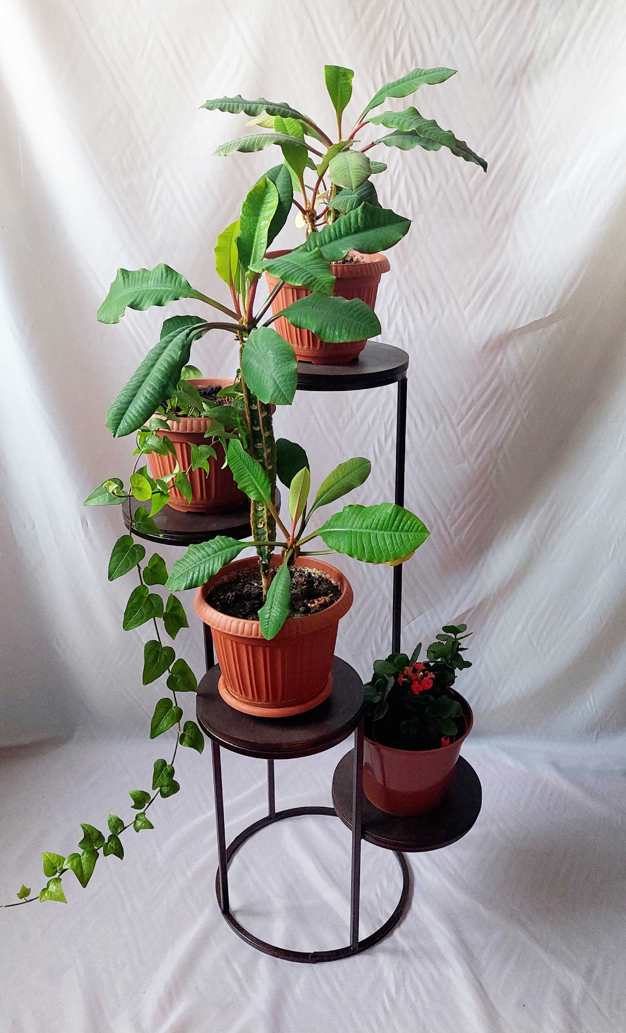 Подставка для цветов Спираль-К61 на 4 цветка 38х56х80см арт.К61 по цене 