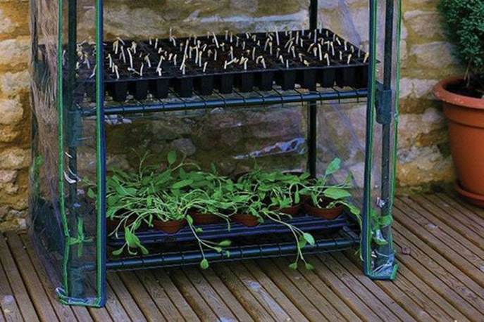 Мини парники и домашние теплицы