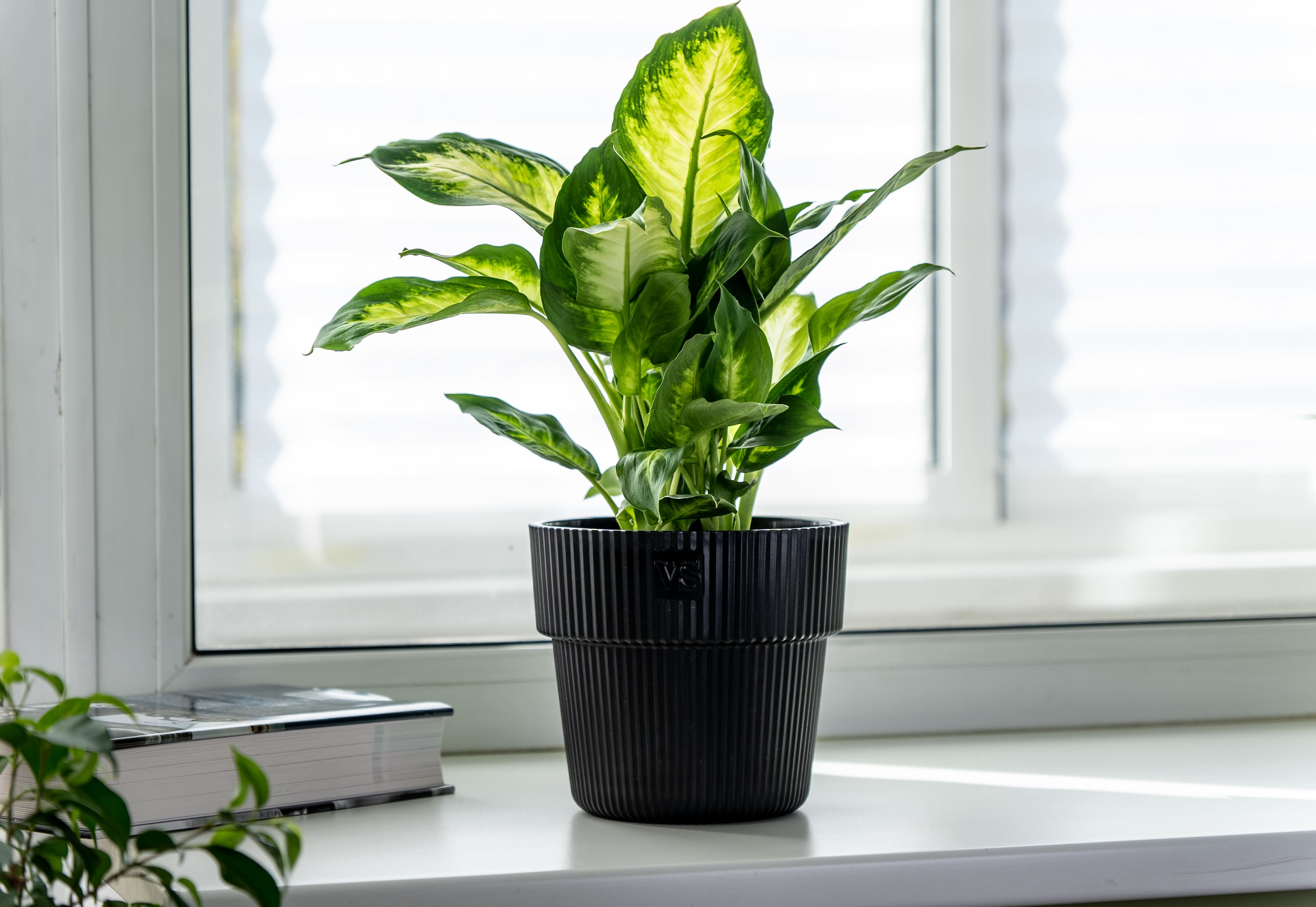 Горшок с дренажной системой Алемар ВипСет 4,8л черный, пластик арт.АМА-4,8-11 по цене 