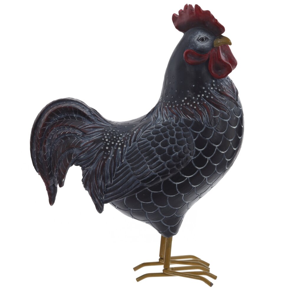 ОсновноеИзображение