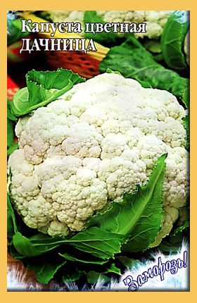 Семена капуста цветная Дачница 0,2г сер Заморозь Гавриш 