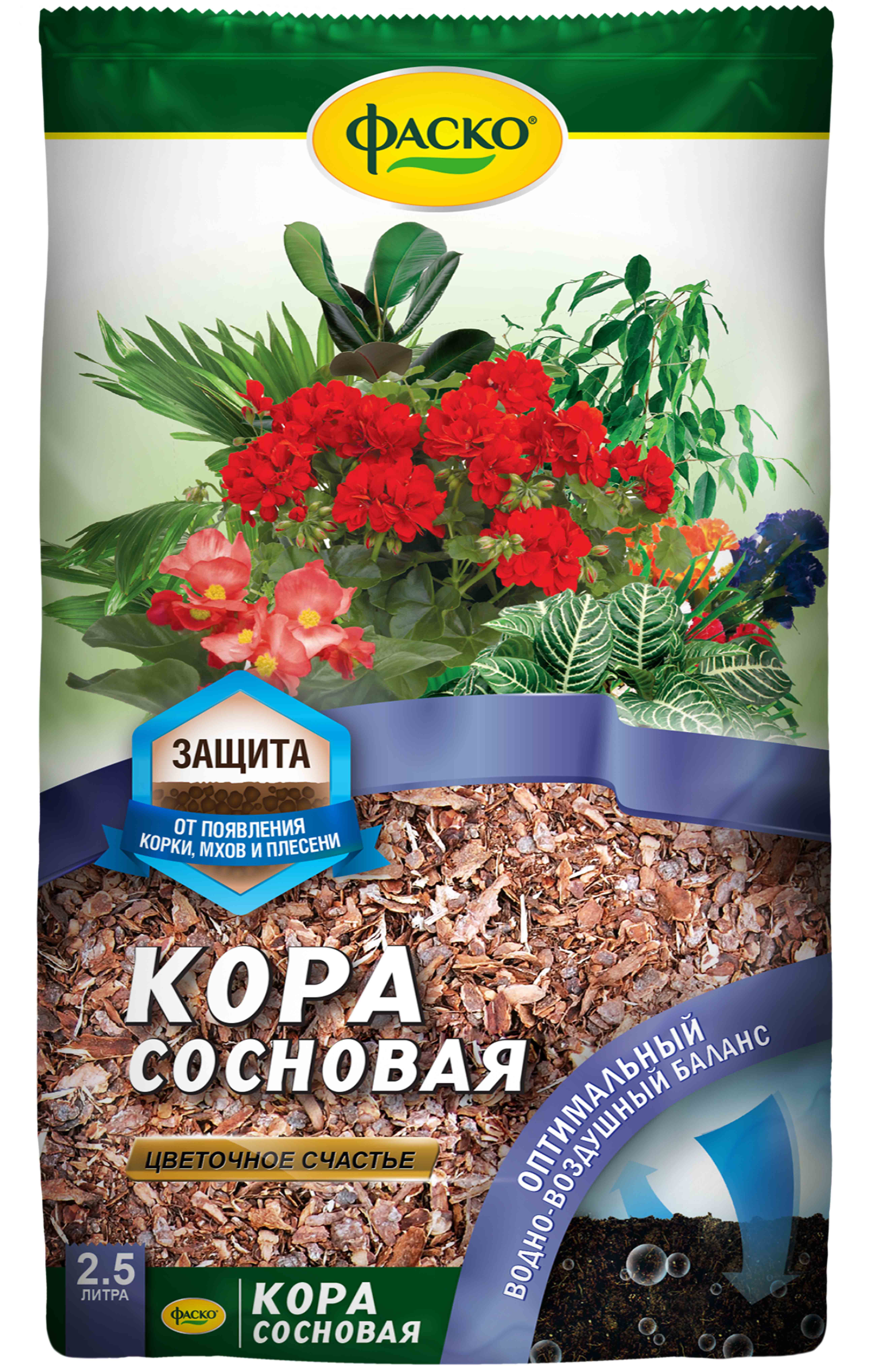 Основное изображение