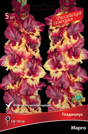 Луковица Гладиолус крупноцветковой Российская селекция Марго 5шт Поиск 
