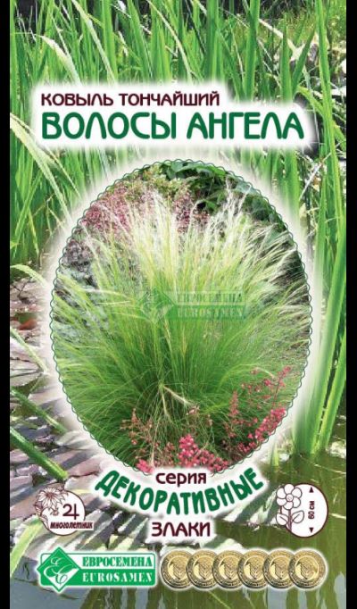 ОсновноеИзображение