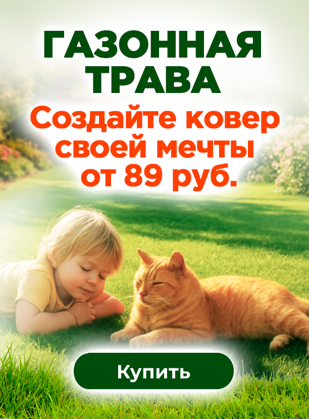 Газонная трава