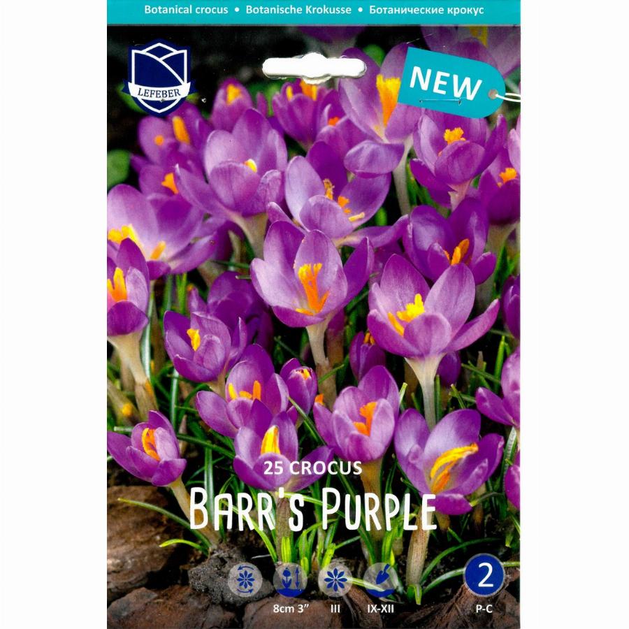 Луковица Крокус Баррс Перпл 5/7, 25 шт/уп 