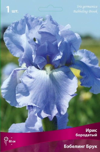 Кореневище Ирис бородатый Бэббелинг Брук 1шт Поиск 