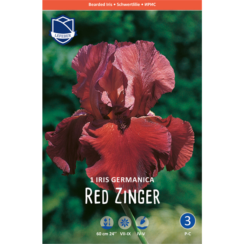 Корневище Ирис германский Рэд Зингер I 1шт 