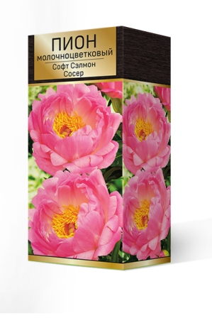 Пион гибридный Софт Салмон Сосер 2-3. 1шт Поиск 