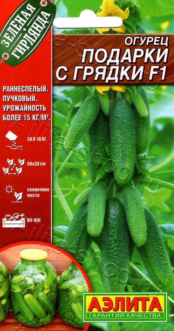 Семена Огурец партенокарпический Подарки с грядки F1 10шт Аэлита 