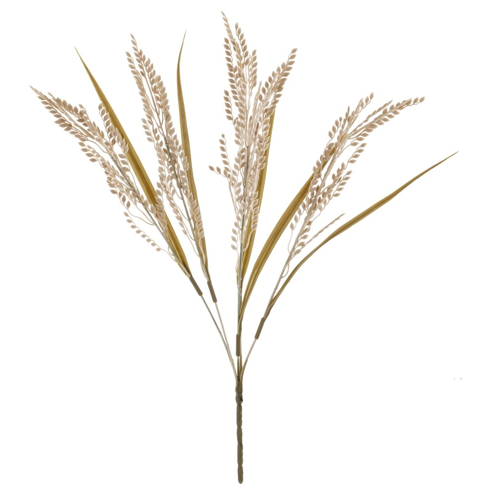 ОсновноеИзображение