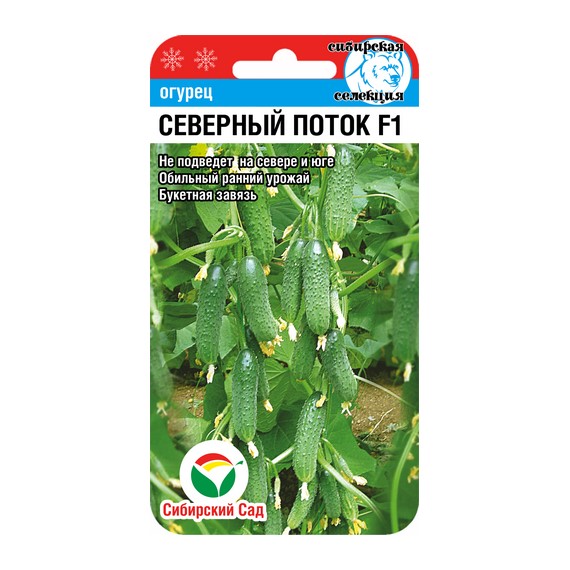 Семена Огурец Северный поток F1 7шт Сибирский Сад 