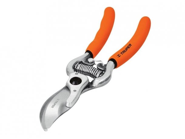 ОсновноеИзображение