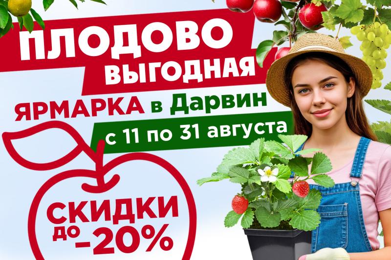 Плодово-выгодная ярмарка в "Дарвин"