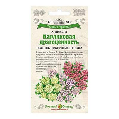 Схема посадки алиссума