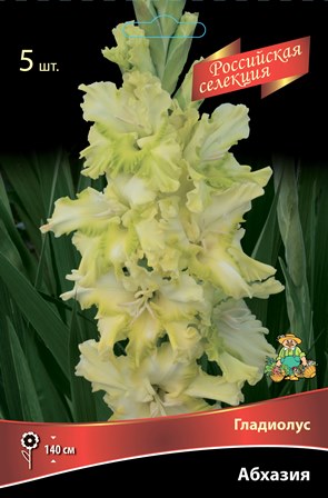 Луковица Гладиолус крупноцветковой  Абхазия 12/14 5  шт  Поиск 