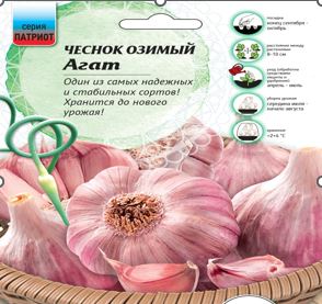 Снимок
