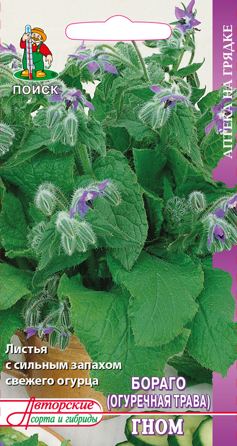 Семена бораго Огуречная трава Гном Аптека на гр 0,5г Поиск 