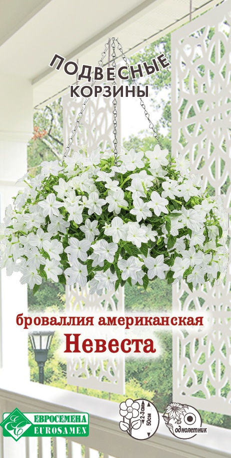 ОсновноеИзображение