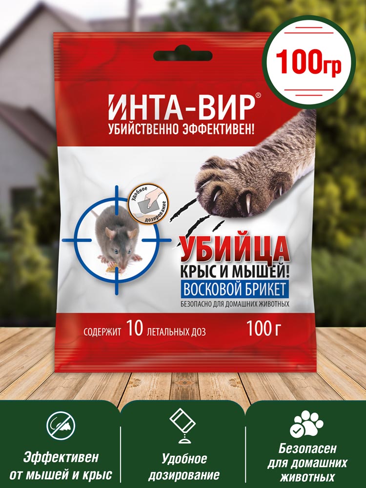 Изображение 3