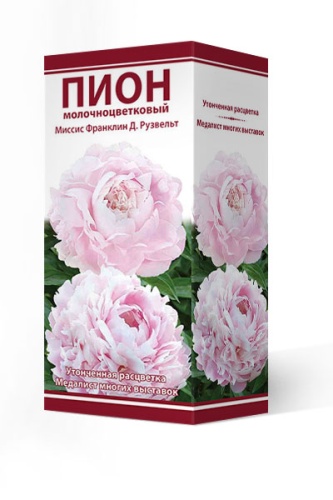 Кореневище Пион молочноцветковый Миссис Франклин Д. Рузвельт 1шт Поиск 