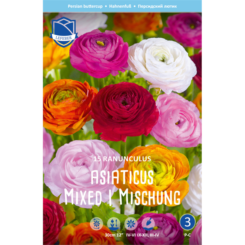 Клубень Ранункулюс азиатский микс 7/8 15шт 