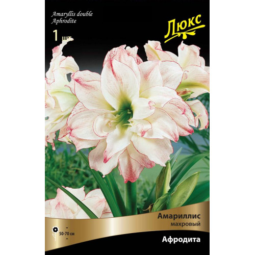 Луковица Амариллис махровый Афродита 1шт Поиск 