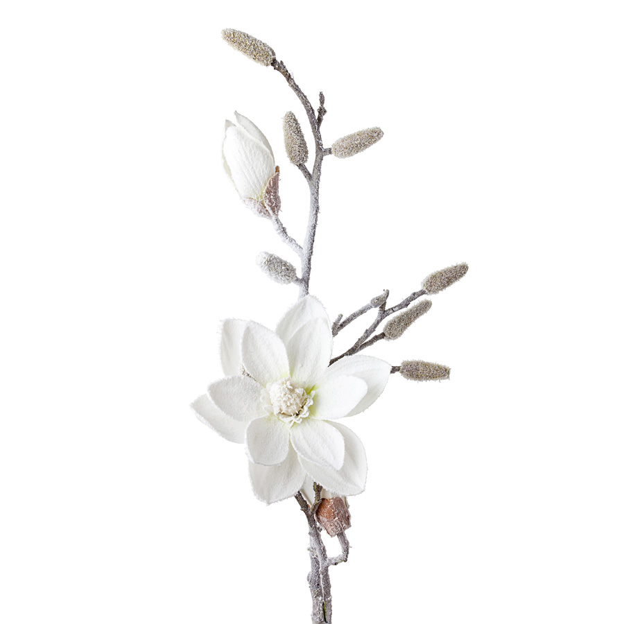 Магнолия заснеженная белый 86 см по цене 