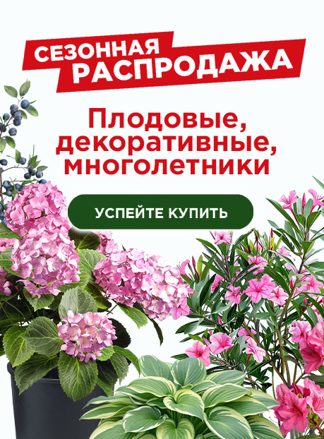 Распродажа