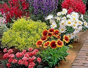 Весна - время посадки многолетников