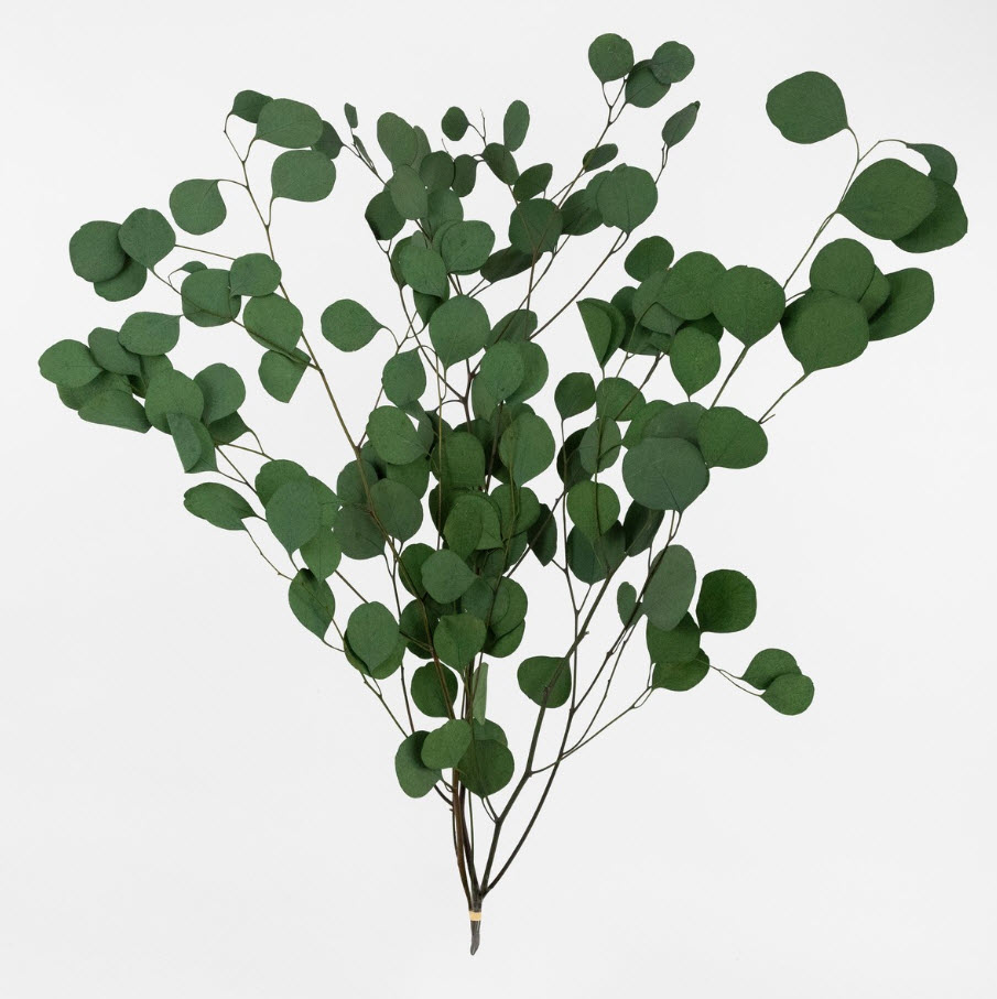 Цветок искусственный Эвкалипт 70см, зеленый по цене 