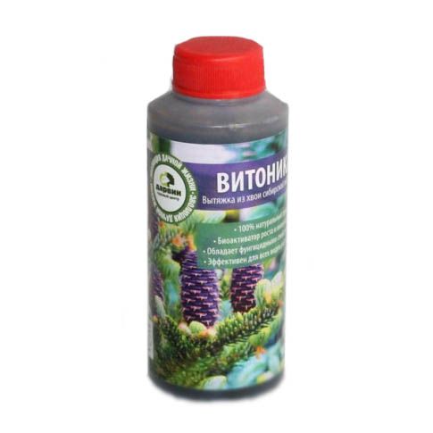 Основное изображение