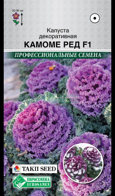 ОсновноеИзображение