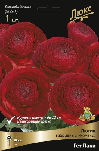 Корневище Лютик Романс Гет Лаки  I 1шт Поиск 
