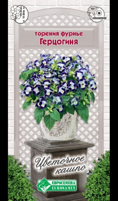 ОсновноеИзображение