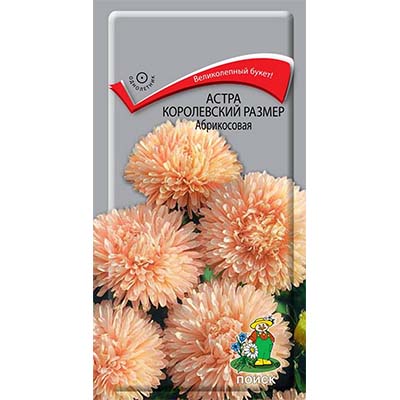 Семена астра Королевский размер абрикосовая 0,1г Поиск 