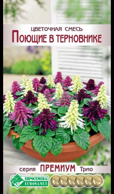 ОсновноеИзображение