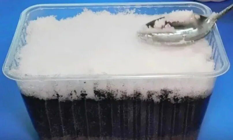 посадка семян на снег