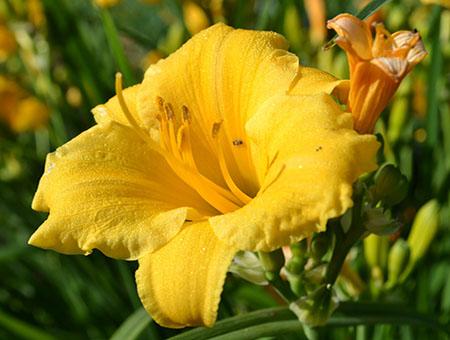 хит продаж 12.jpg