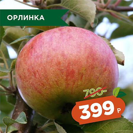 Орлинка.jpg Орлинка.jpg