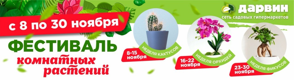 фестиваль комнатных растений фестиваль комнатных растений