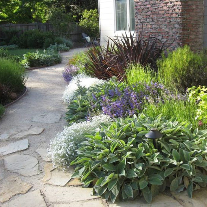 цветочные композиции вдоль садовых дорожек